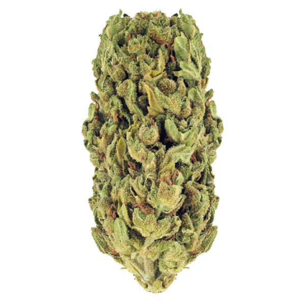 Holistic-Hybrid-600x600-1.png