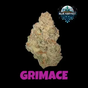 FLOWER | GRIMACE | - 3.5 G