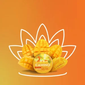 MANGO SERENITY CBD 1:1 | EDIBLE - 100 Mg - 20 Pack